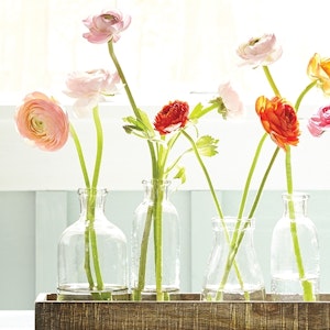 Small glass jars hold pairs of ranunculus
